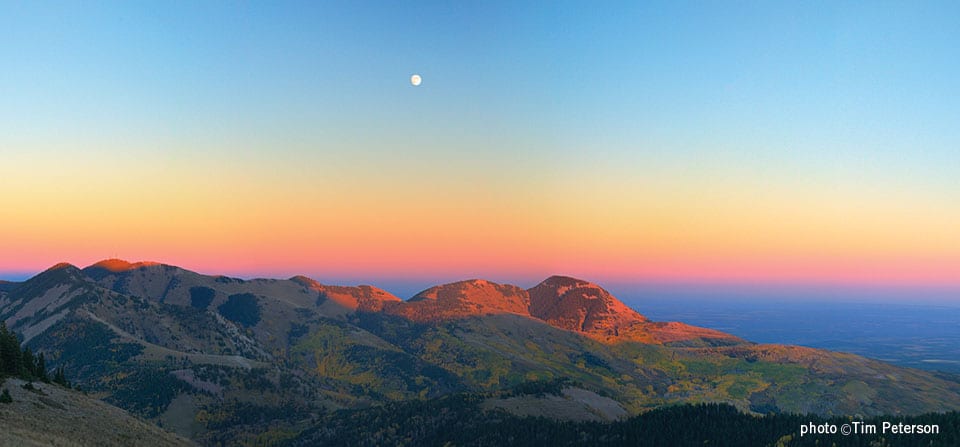 Abajo Mountains – Elk Ridge