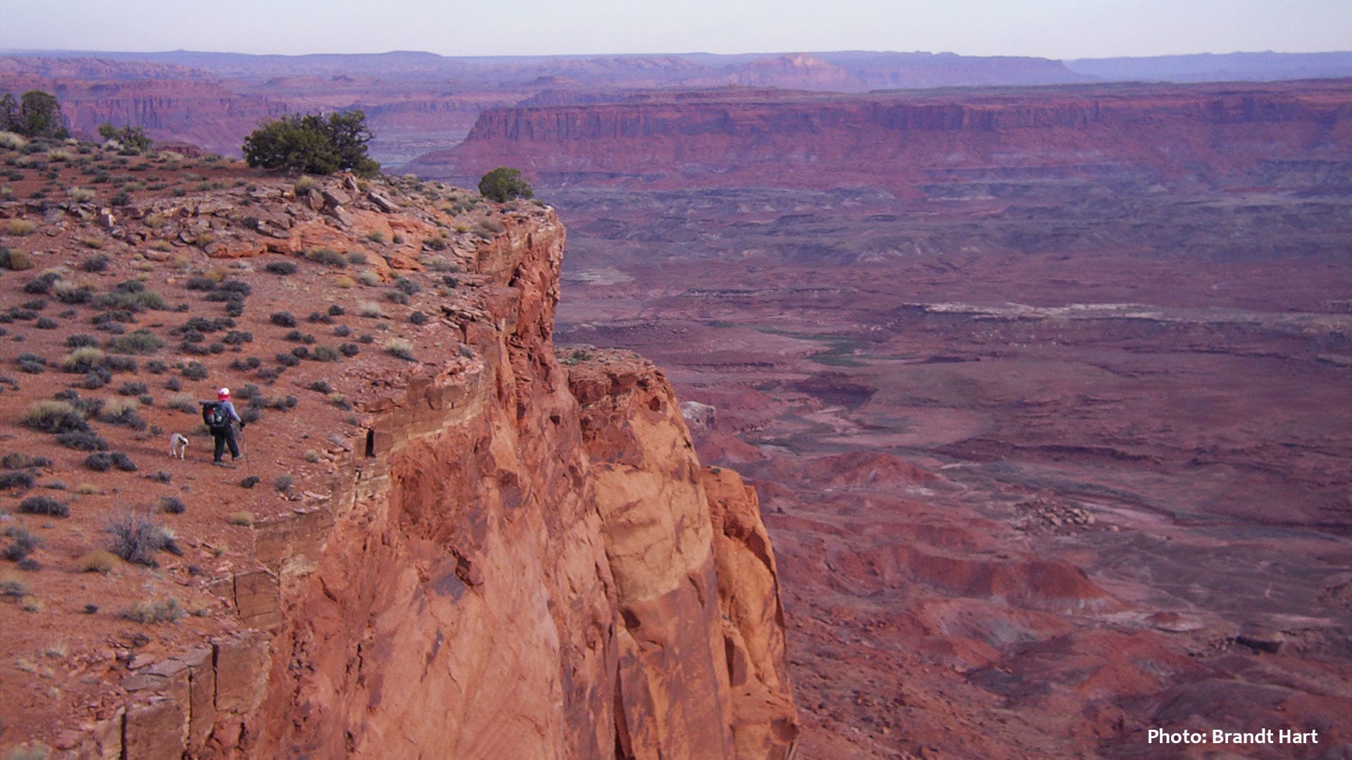 Mancos Mesa