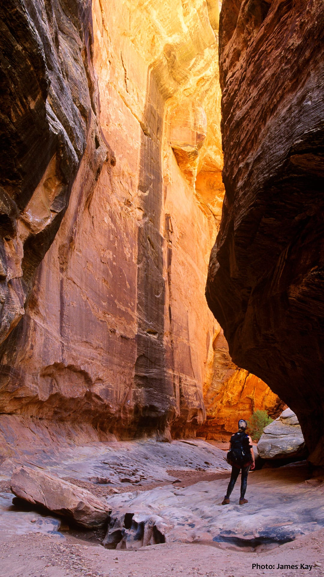 White Canyon