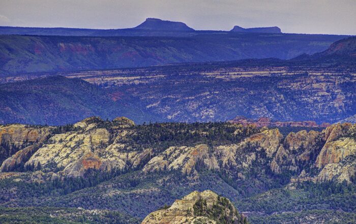 Bears Ears National Monument - (c) Tim Peterson