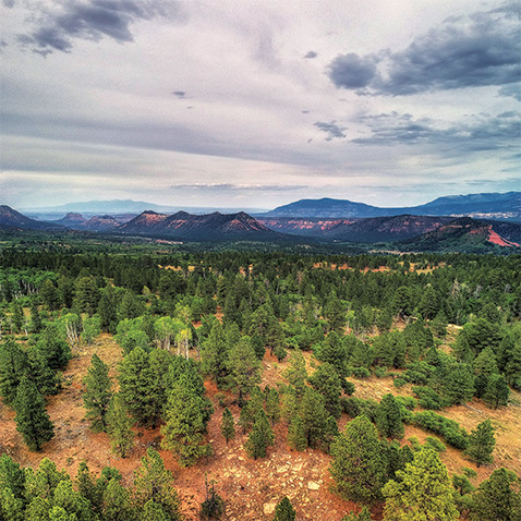 Bears Ears Scenic Photo