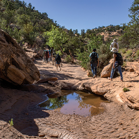 People hiking in Bears Ears