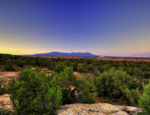 We Have Tried Every Path to Protect Bears Ears — And We Are Still Here